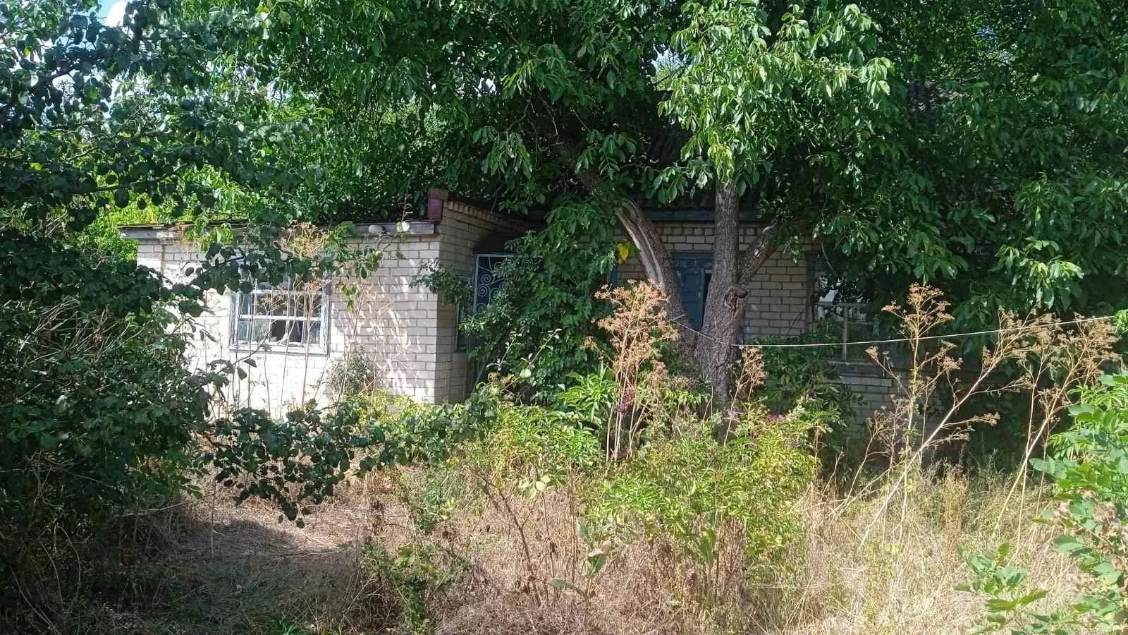 Ділянка 1 560 соток, Попівка: будинок, під ремонт - фото 2