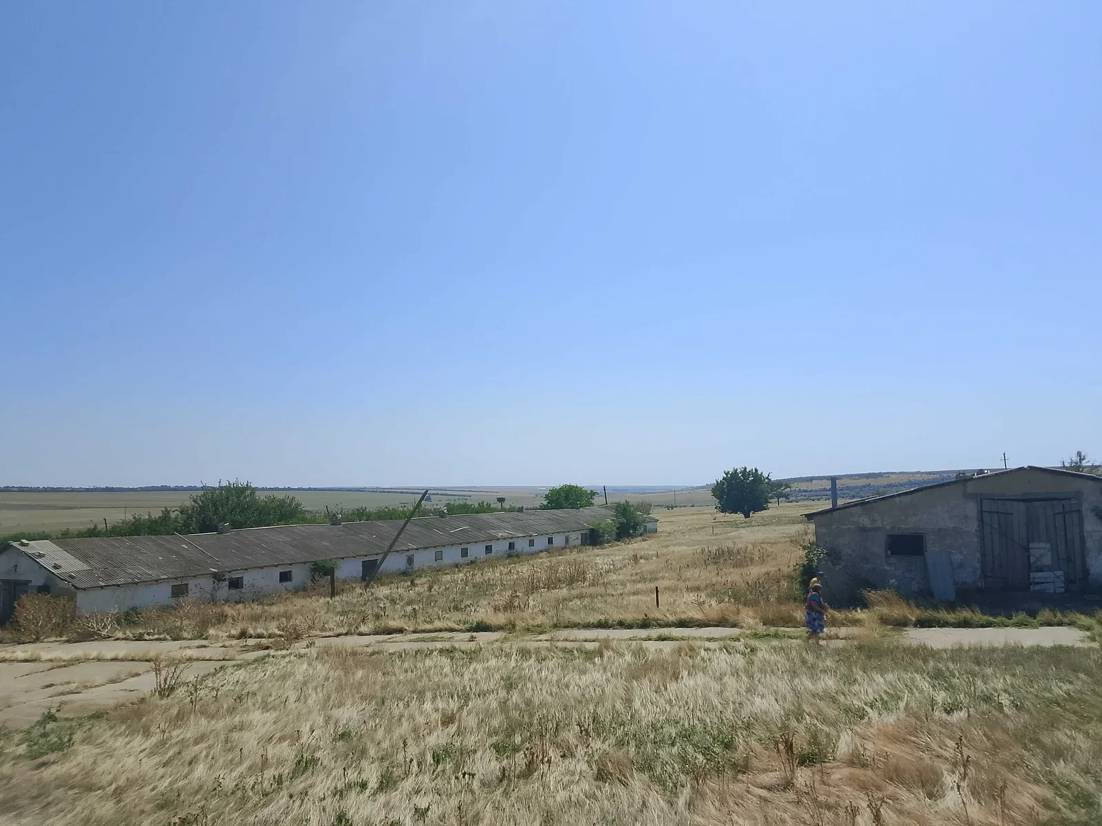Ферма, Сарата: 4 корпуси, пасовище, ставок за 500 м - фото 5