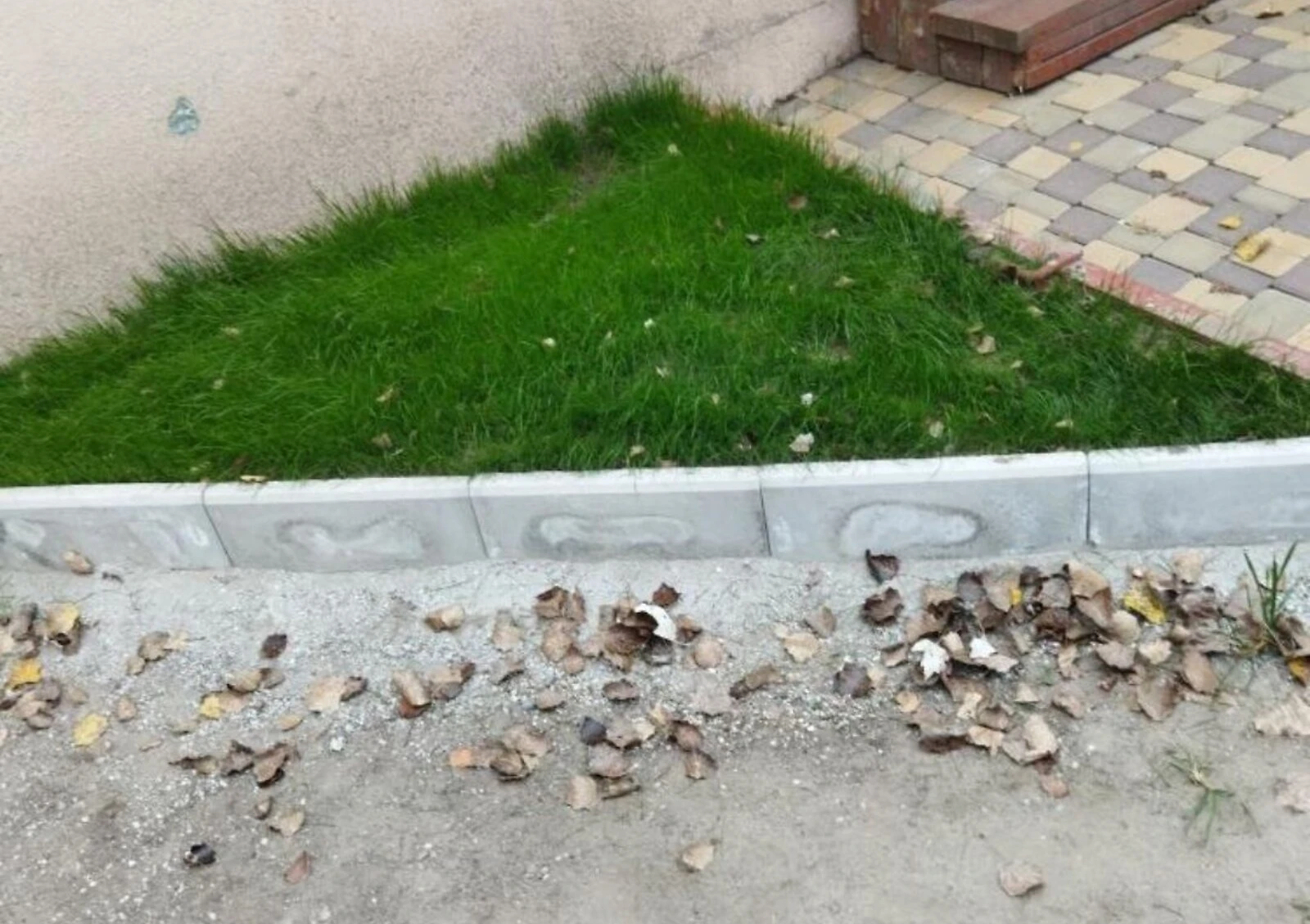 Частина будинку, Запоріжжя: гараж у дворі, цегляні стіни, фото 5
