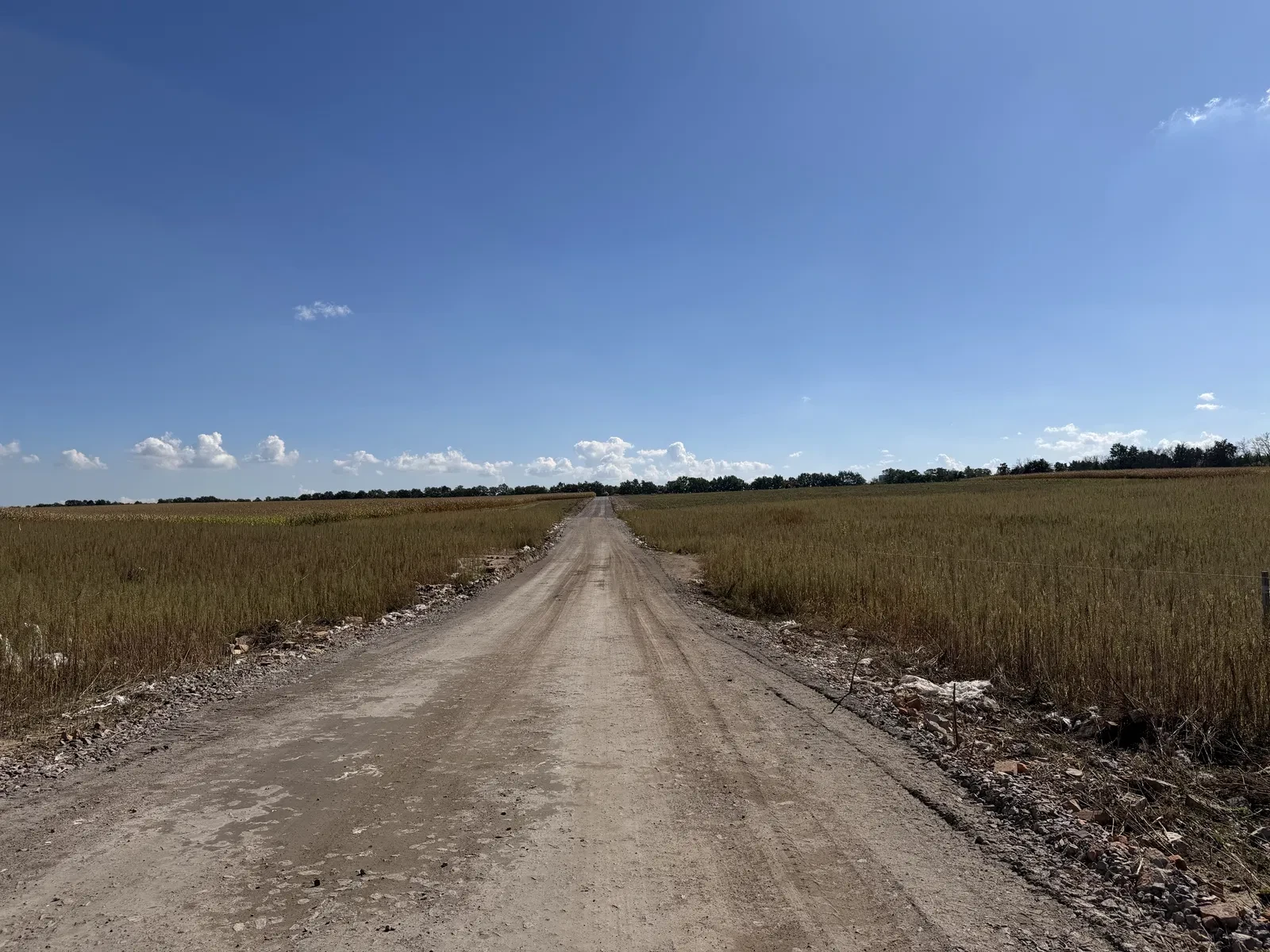 Ділянка 5,2 сотки, Святопетрівське: світло від ДТЕК, 400 м до зупинки, фото 3