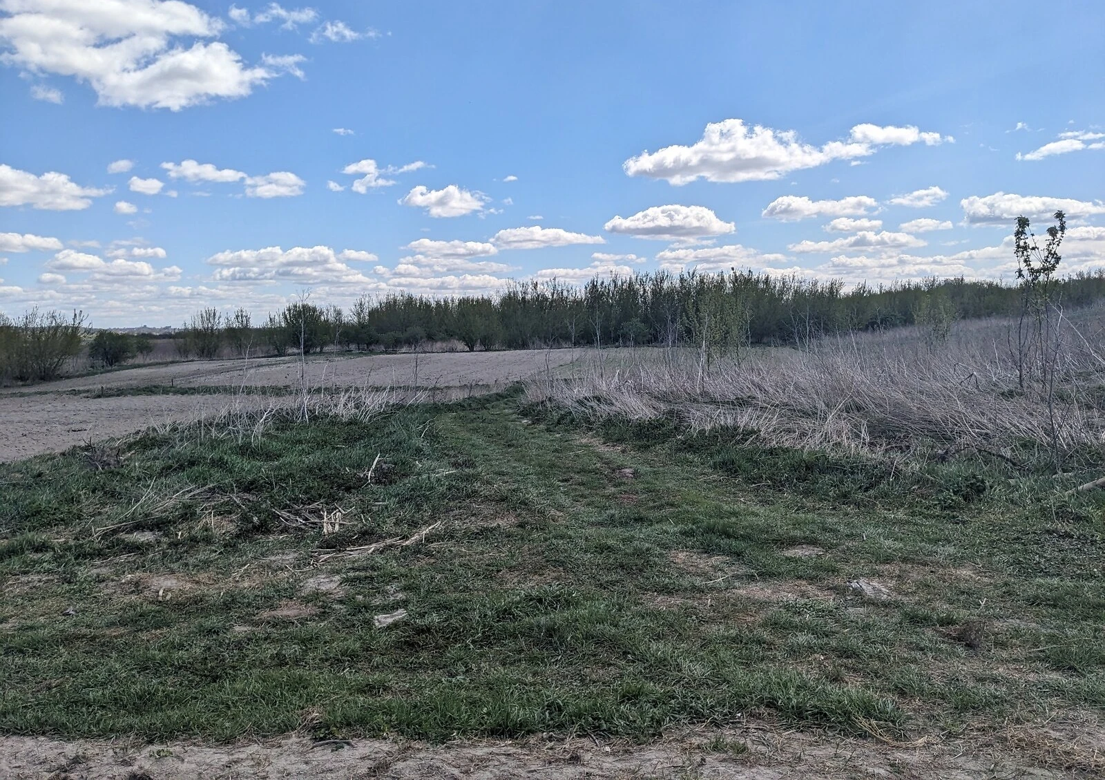 Участок 10 соток, Городок: природное озеро, жилая застройка, фото 5