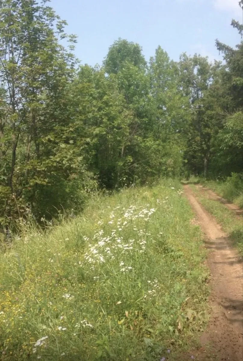 Ділянка 8 400 соток, Покотилівка: під котеджне містечко, торг - фото 1