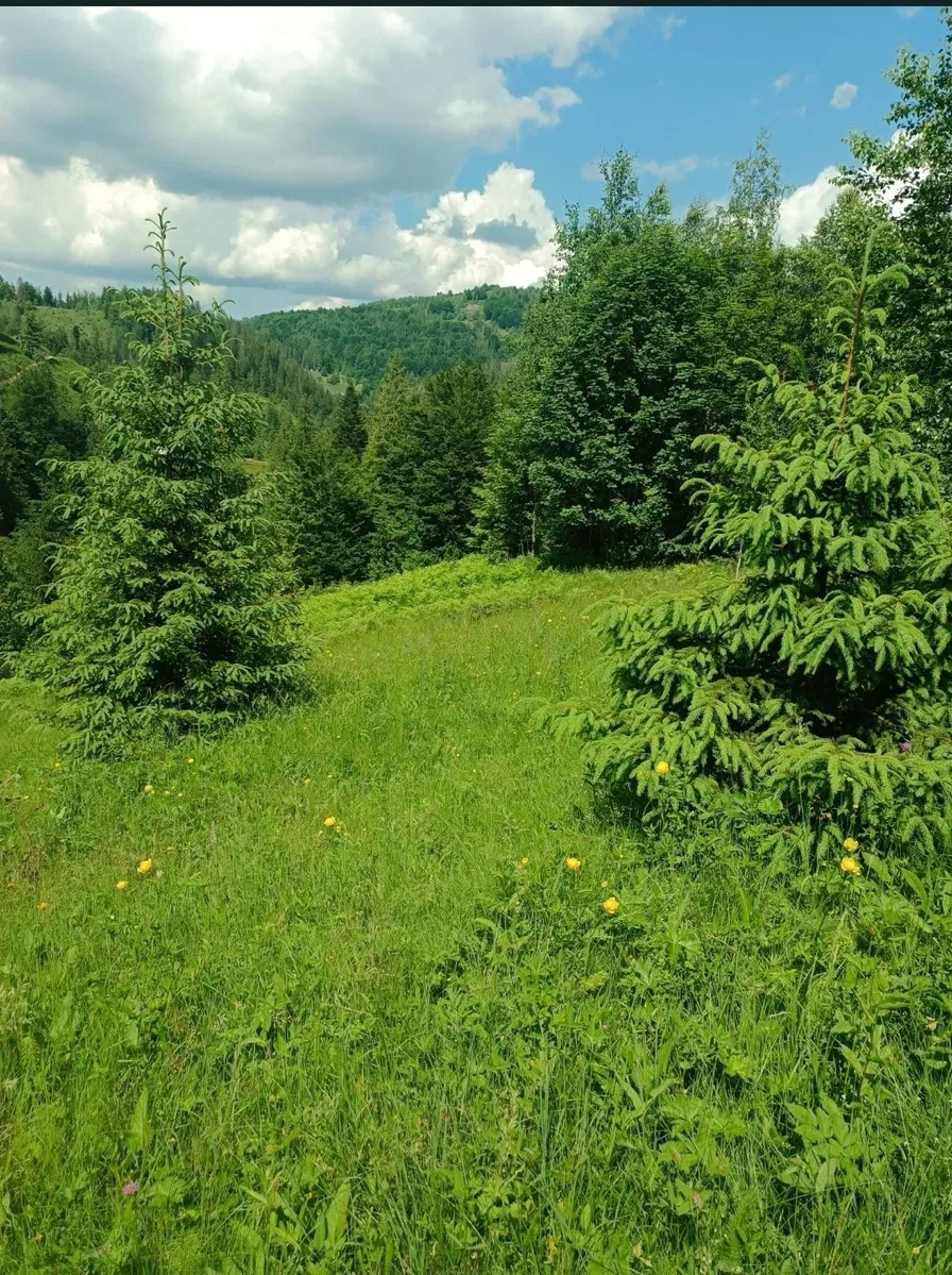 Участок 89 соток, Снидавка: под застройку, электричество, горы, фото 5