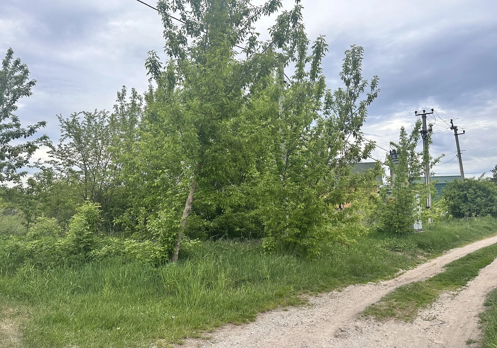 Ділянка 20.3 сотки, Рославичі: житлова забудова, природне озеро, торг - фото 4