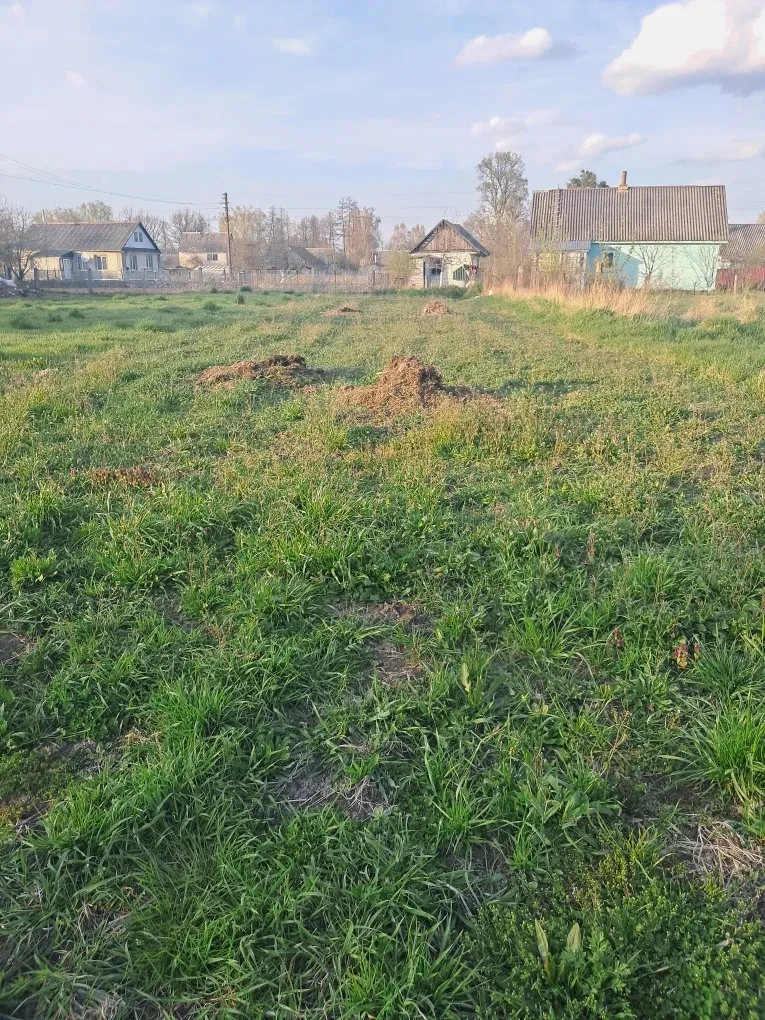 Участок 18 соток, Полонное: обмен, река и сосновый лес, фото 2