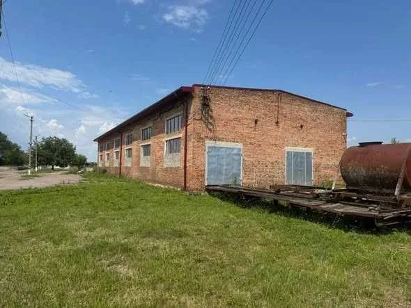 Склад, Остров: подвал 350 м², 50 кВт, парковочное место, фото 2