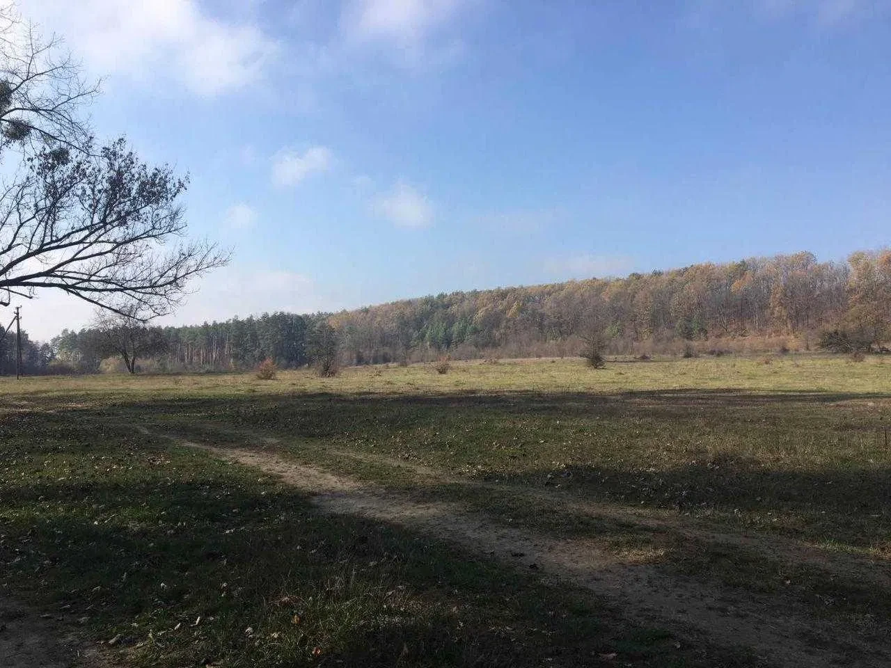 Ділянка 10 соток, Левків: ліс, річка Тетерів, можна будувати - фото 4