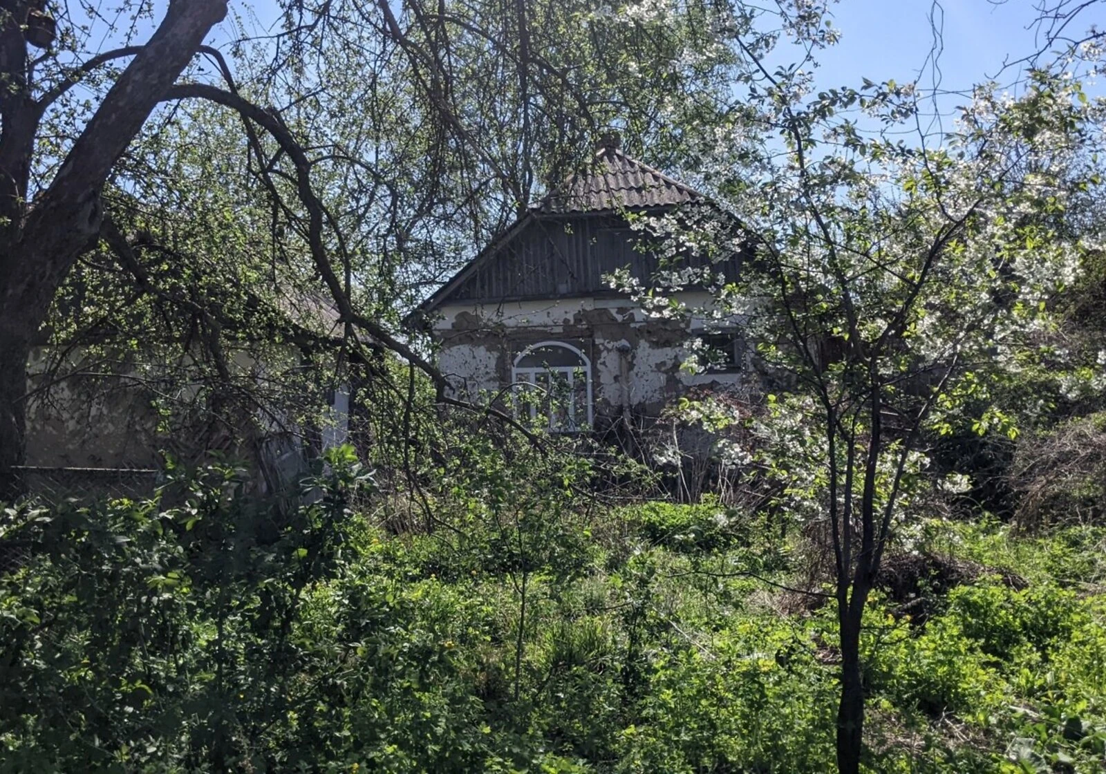Будинок, Бобровиця: 16 соток, літня кухня, торг - фото 2