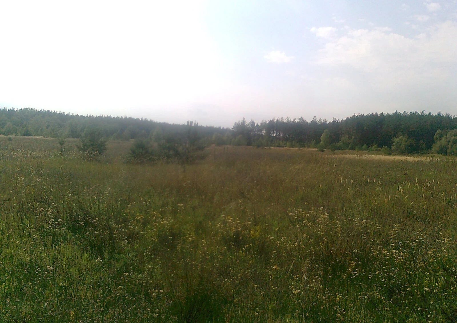 Ділянка 15 соток, Марківка: під житлову забудову, рівнинна, фото 5