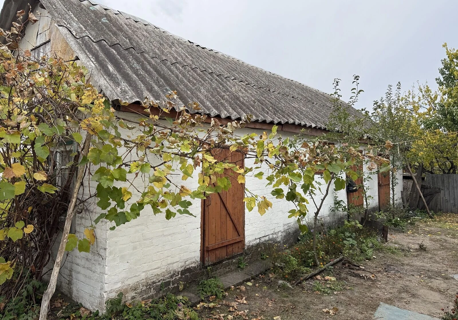 Дача, Задонецьке: цегляні стіни, ванна, фото 5
