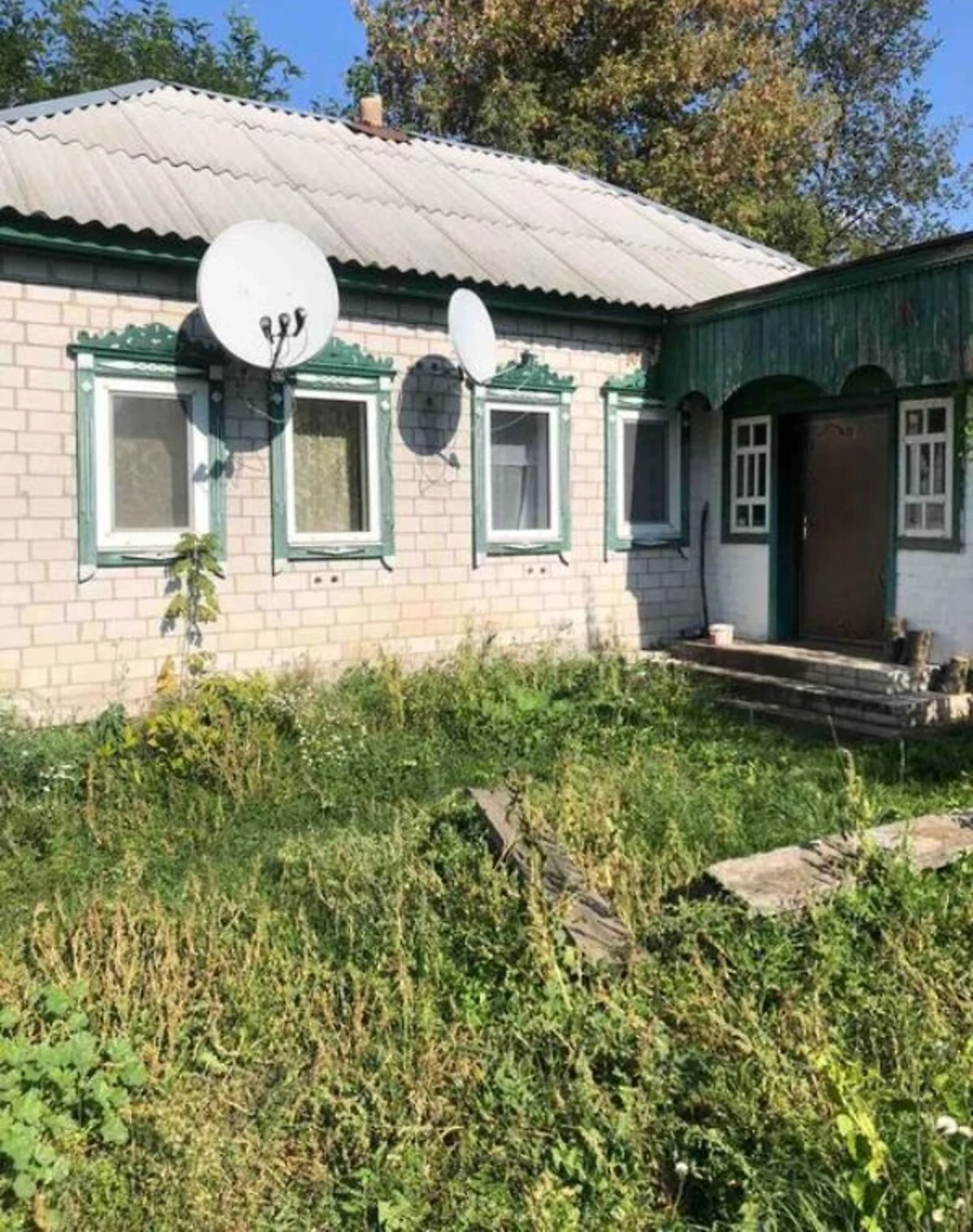 Будинок, Володькова Дівиця: гараж, 49 соток, цегляні стіни