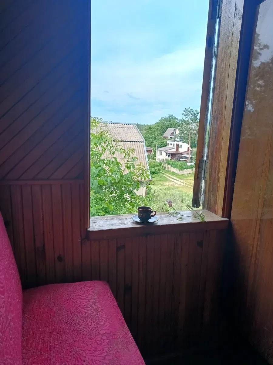 Дача, Хутір Залізний: краєвид на озеро й ліс, тераса - фото 3