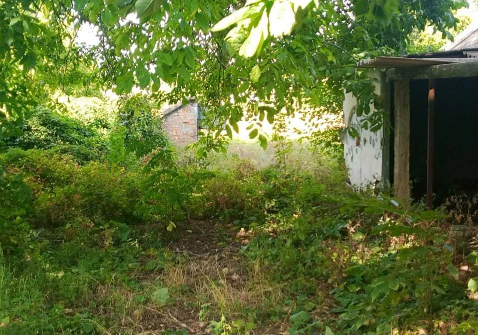 Дом, Солёное: 17 соток, требует ремонта, фото 5