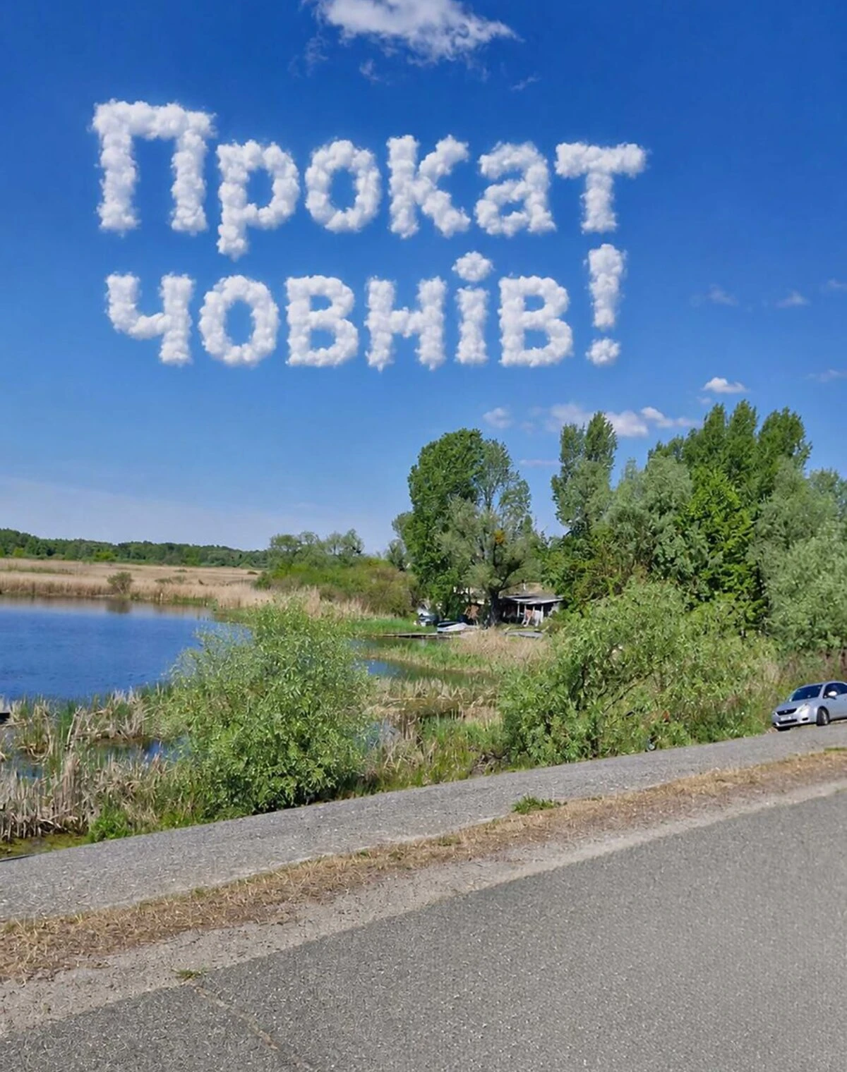 Дача, Проців: бесідка, сад і барбекю - фото 4