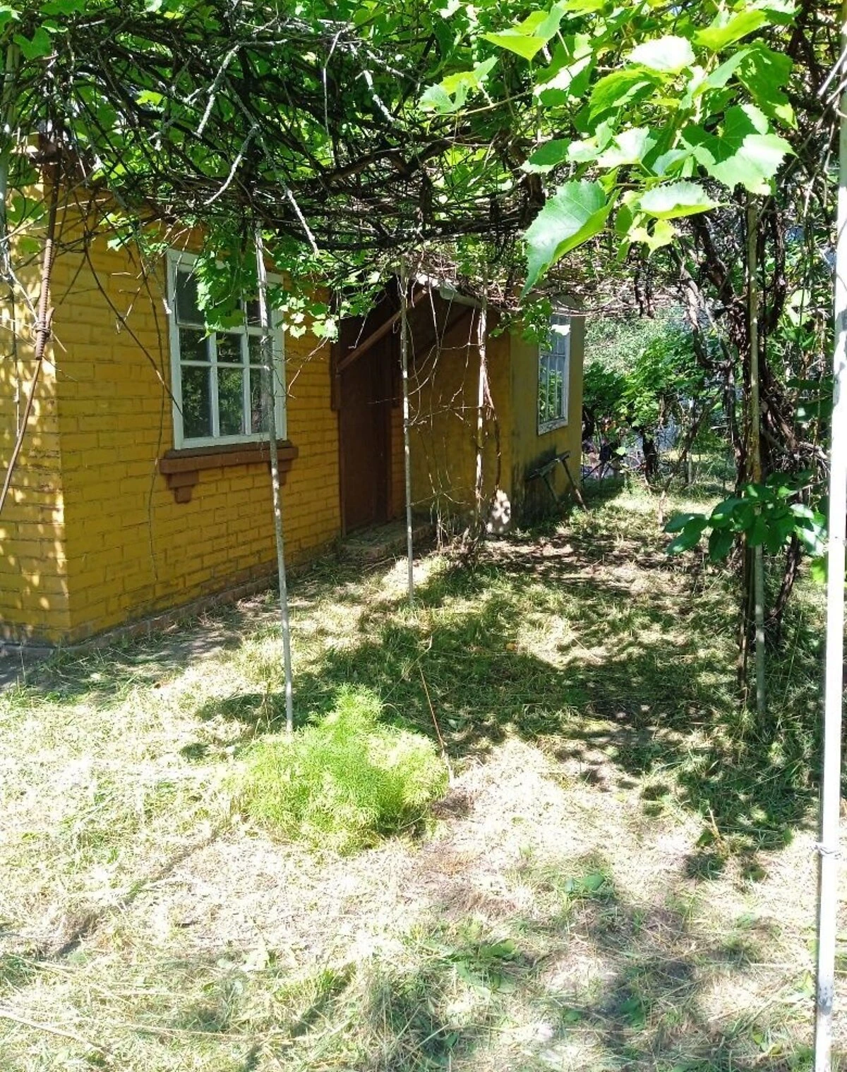 Дача, улица Яворовская: 6 соток, колодец, сад, фото 2