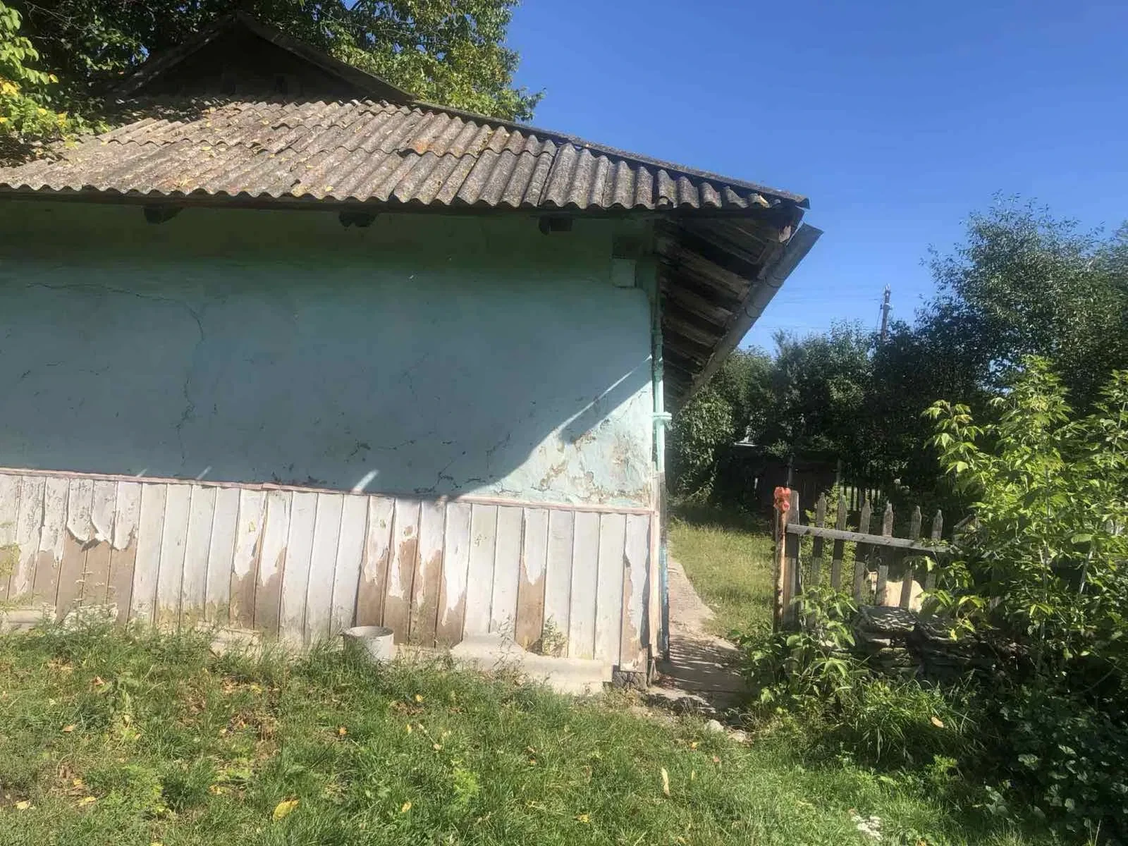 Будинок, Велика Камʼянка: під реконструкцію, приватизована ділянка, центр - фото 5