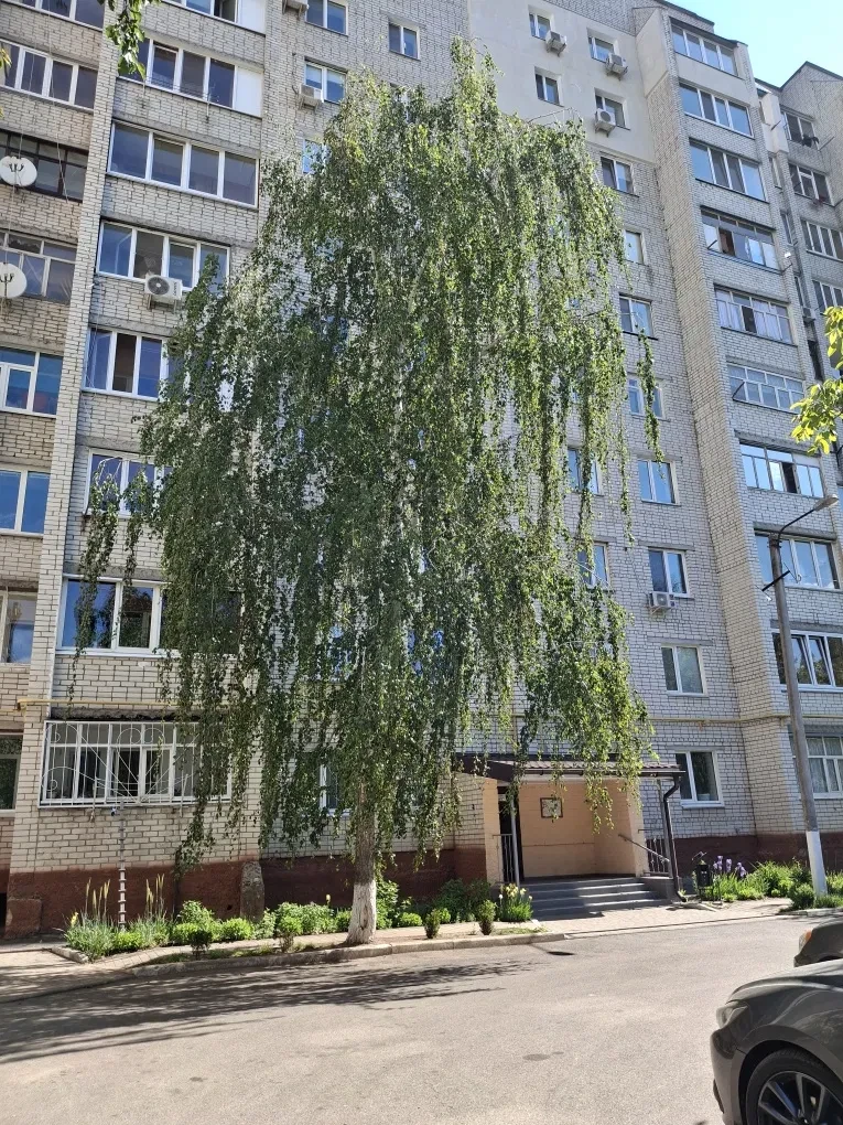 3-кімнатна квартира, Літак: косметичний ремонт, ліс і річка поруч