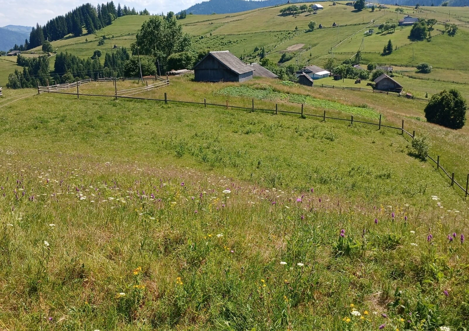 Ділянка 50 соток, Черемошна: природне озеро, біля гір - фото 3
