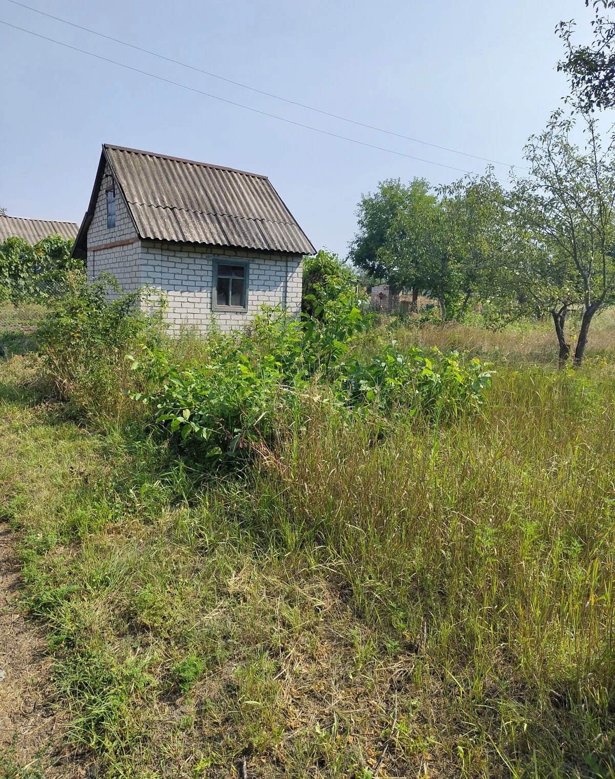 Участок 12 соток, Горишние Плавни: сад, электричество - фото 1