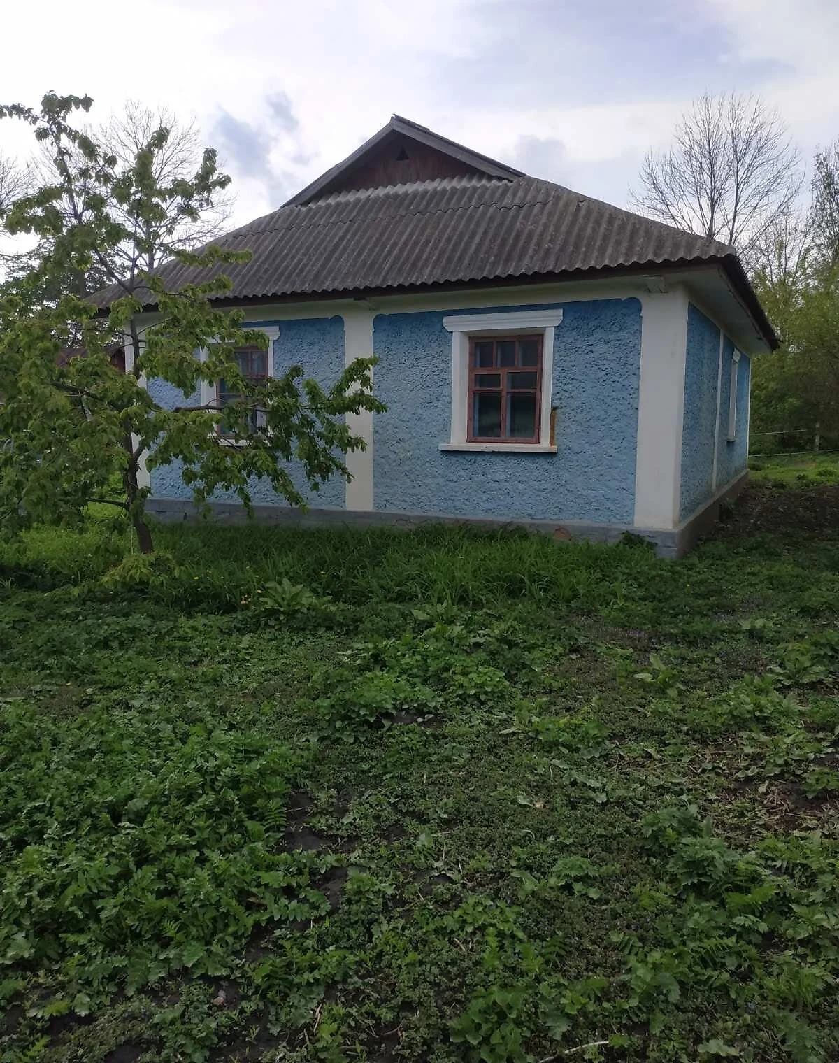Дом, Паплинцы: природное озеро, школа и детский сад рядом
