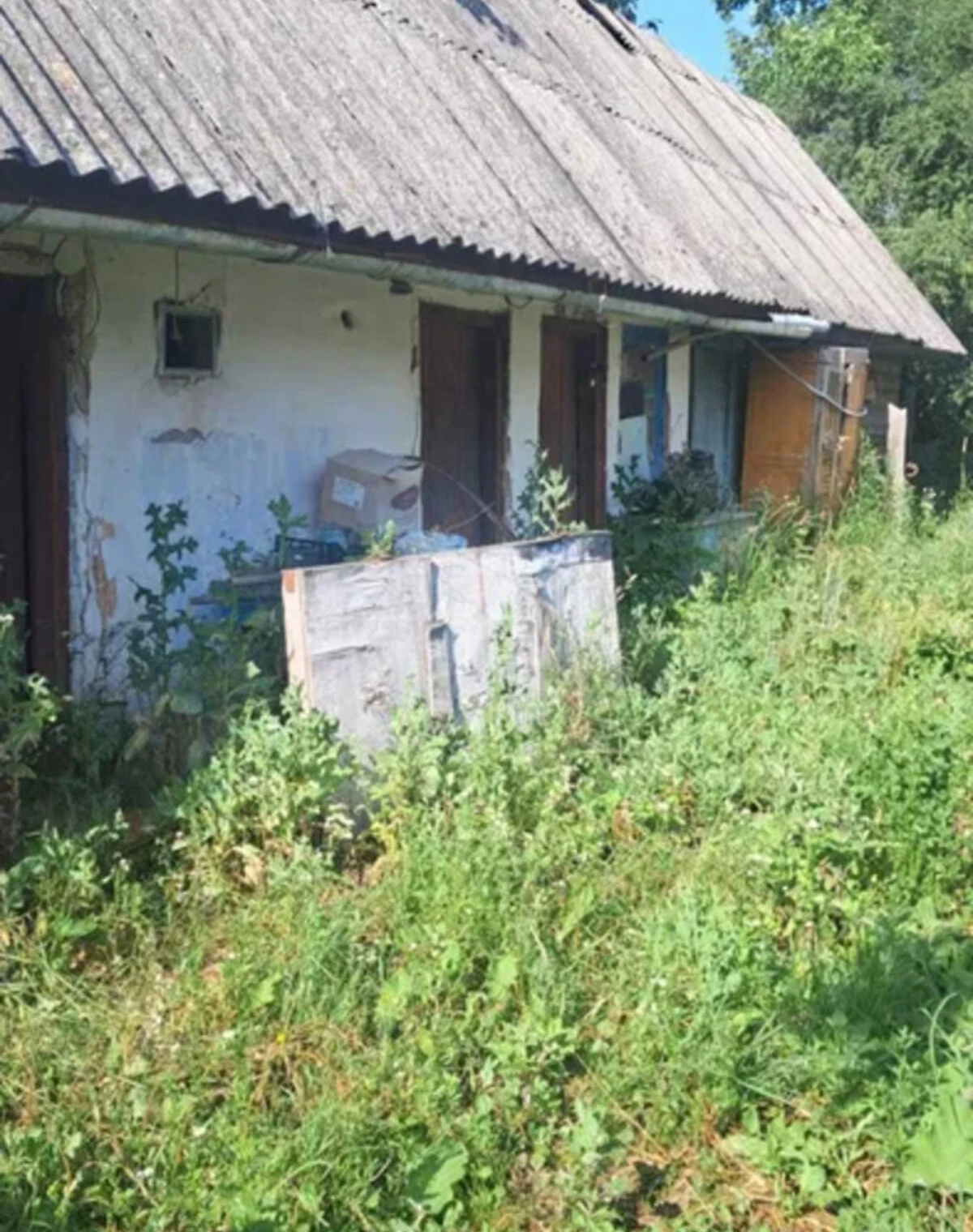 Будинок, Городище (Черняхів): сад, криниця, 60 соток - фото 4