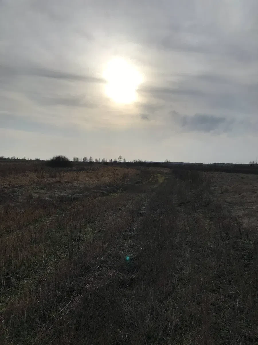 Участок 109 соток, Нижняя Дубечня: ОСГ, между Десной и Днепром - фото 1