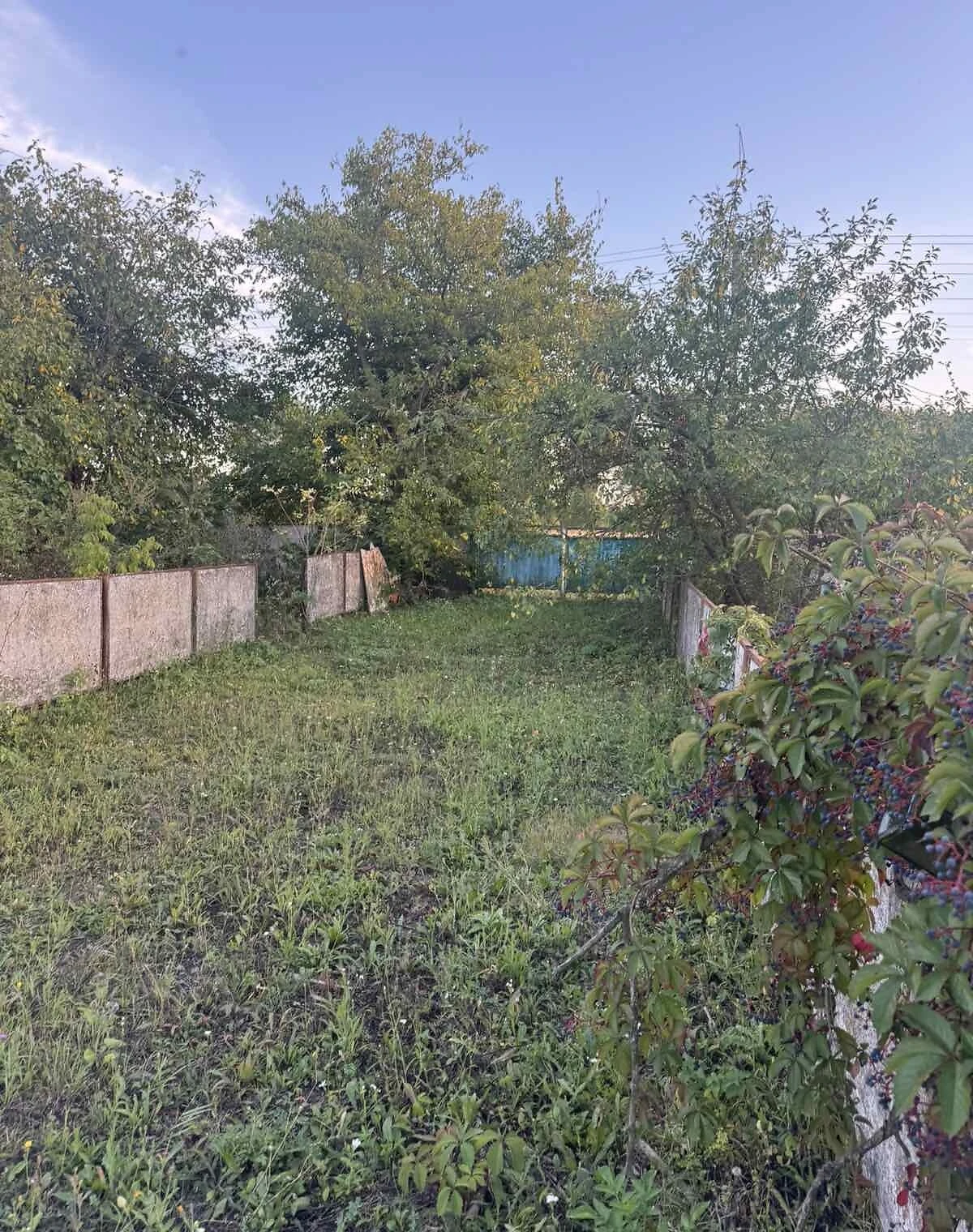 Будинок, Зарубинці: літня кухня, цегляні стіни, фото 5