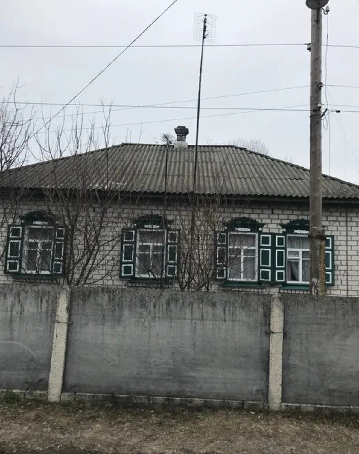 Будинок, Борзна: гараж у дворі, город і сад, фото 3