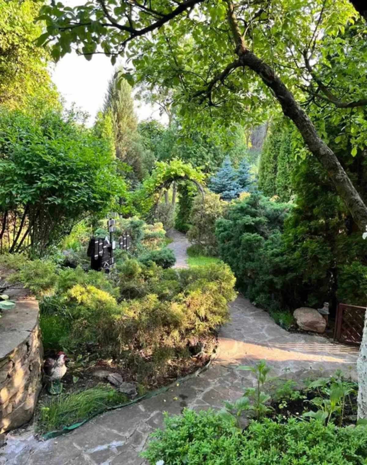 Дом, Покотиловка: дизайнерское оформление, 9 соток, беседка, фото 5