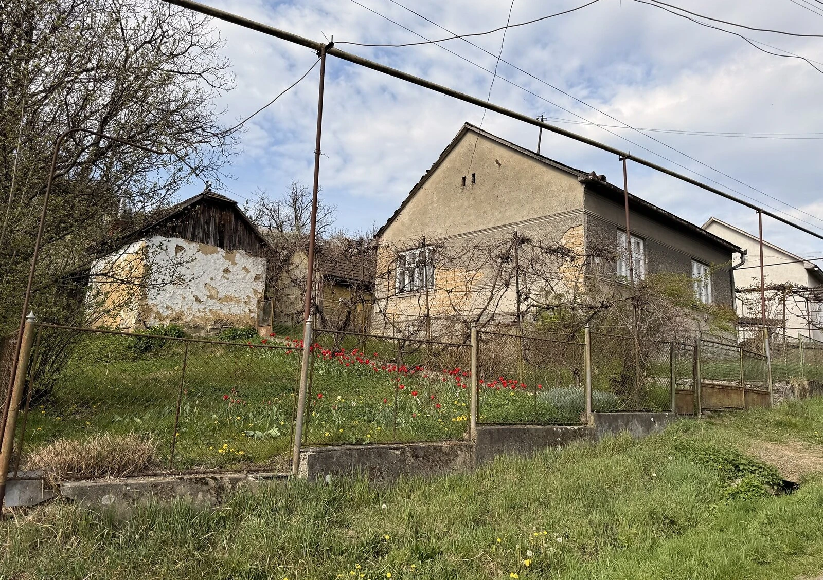Будинок, Перечин: ділянка 10 соток, єОселя, торг - фото 2