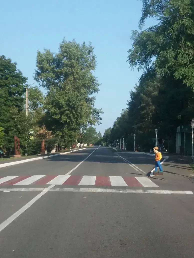 Участок 16 соток, Процев: газ на участке, напротив соснового леса - фото 4