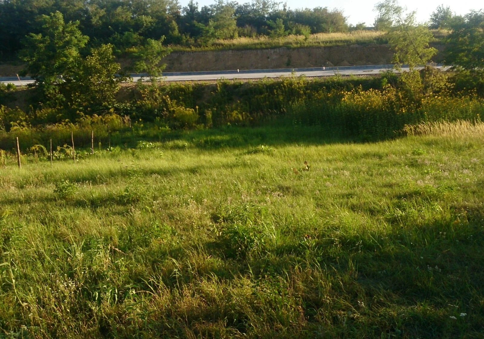 Ділянка 5 соток, Солом'янський: садове товариство, охорона, фото 5