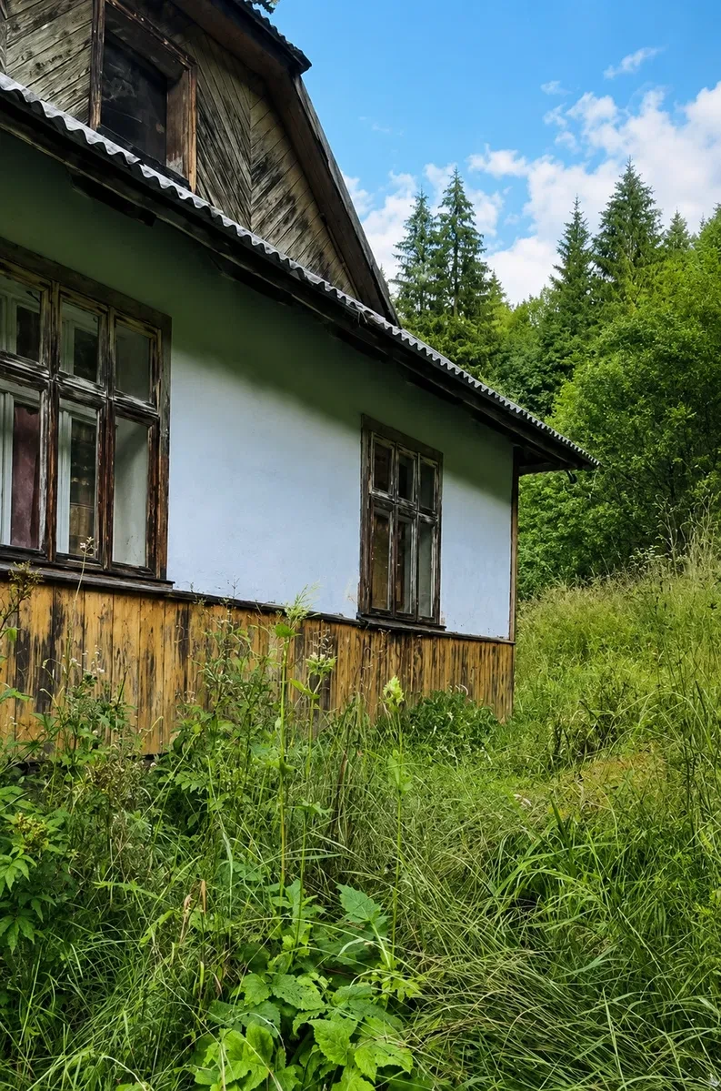 Дача, Криворівня: біля лісу, Довбушові комори, можна з тваринами - фото 2