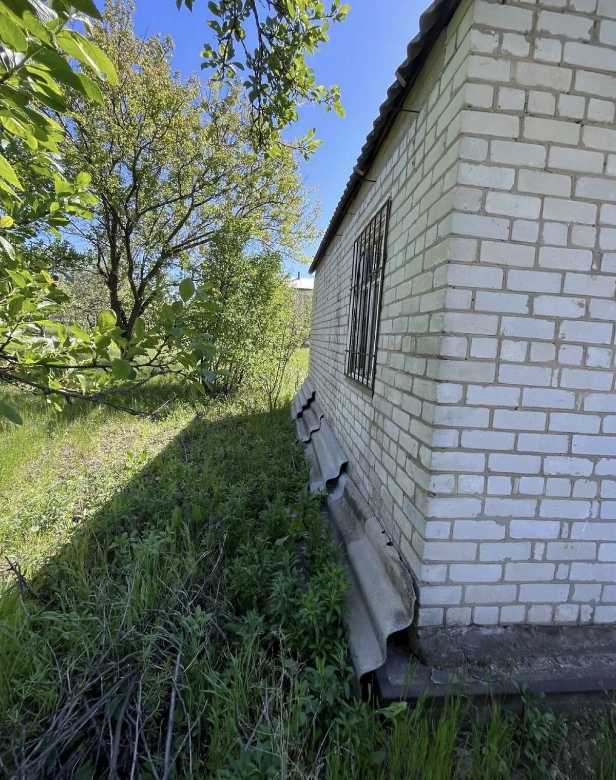 Ділянка 5.8 соток, Новоолександрівка (Дніпро): криниця, сад - фото 5