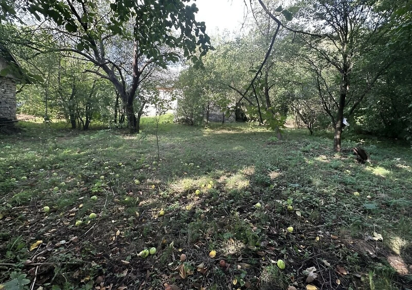 Будинок, Вільховець: ділянка 37 соток, господарські будівлі - фото 2