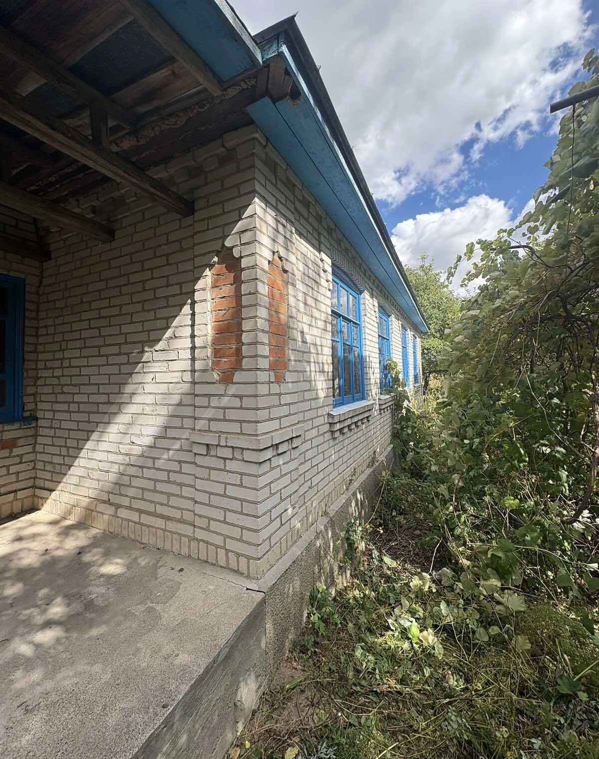 Будинок, Ометинці: гараж у прибудові, город і сад, фото 2
