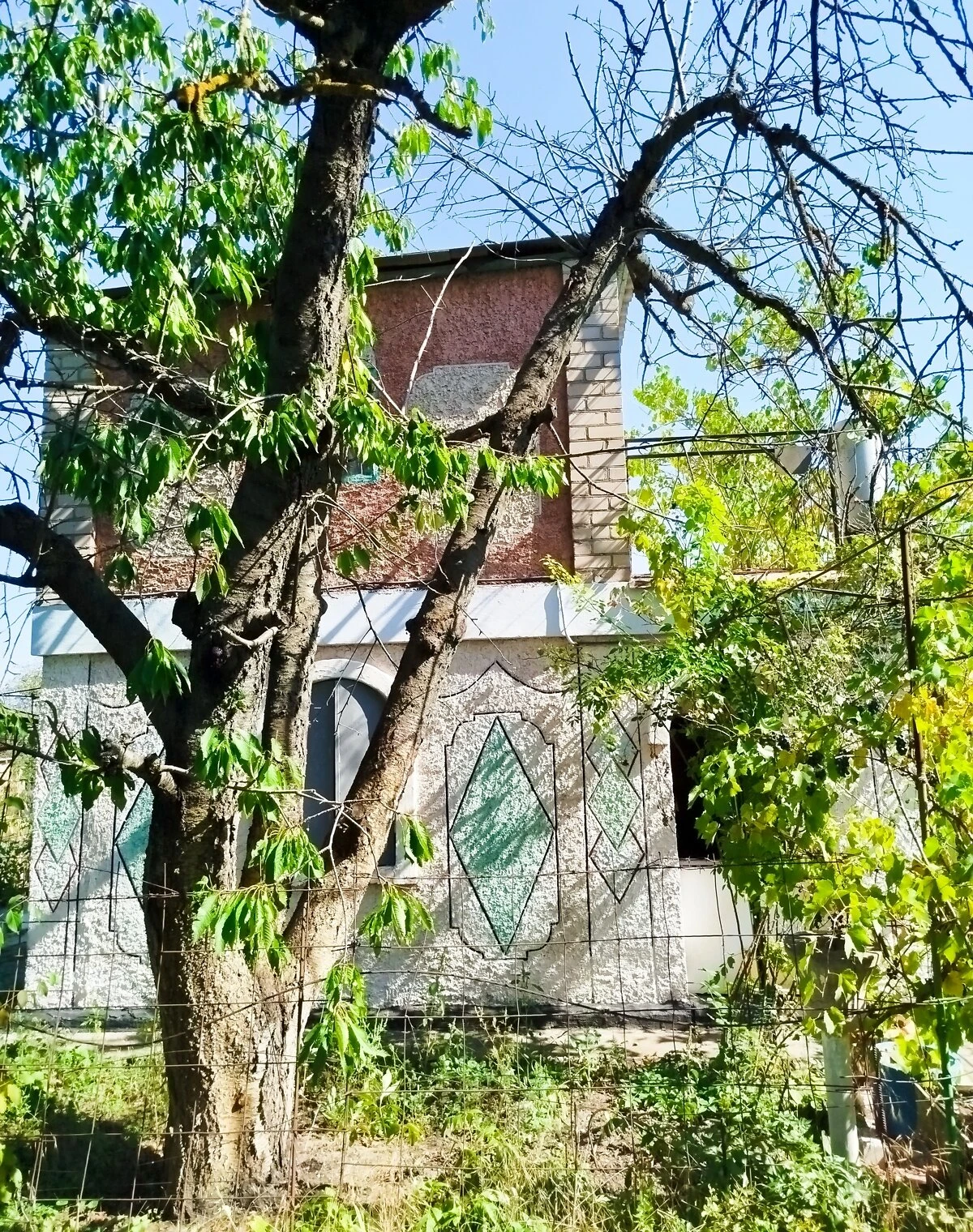 Участок 6 соток, Саксаганский: чернозём, ровный рельеф, фото 2
