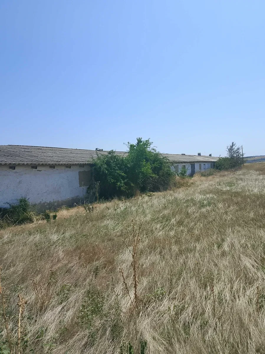 Ферма, Сарата: 4 корпуси, пасовище, ставок за 500 м - фото 4