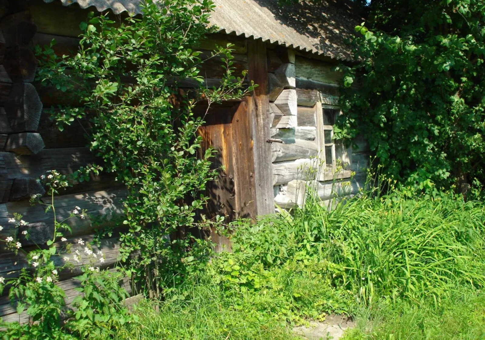 Будинок, Вороневе: ділянка 16 соток, криниця, фото 3
