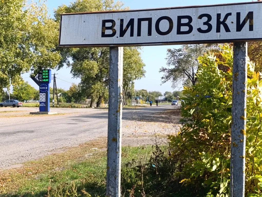 Будинок, Виповзки: 44 сотки, під реконструкцію - фото 2