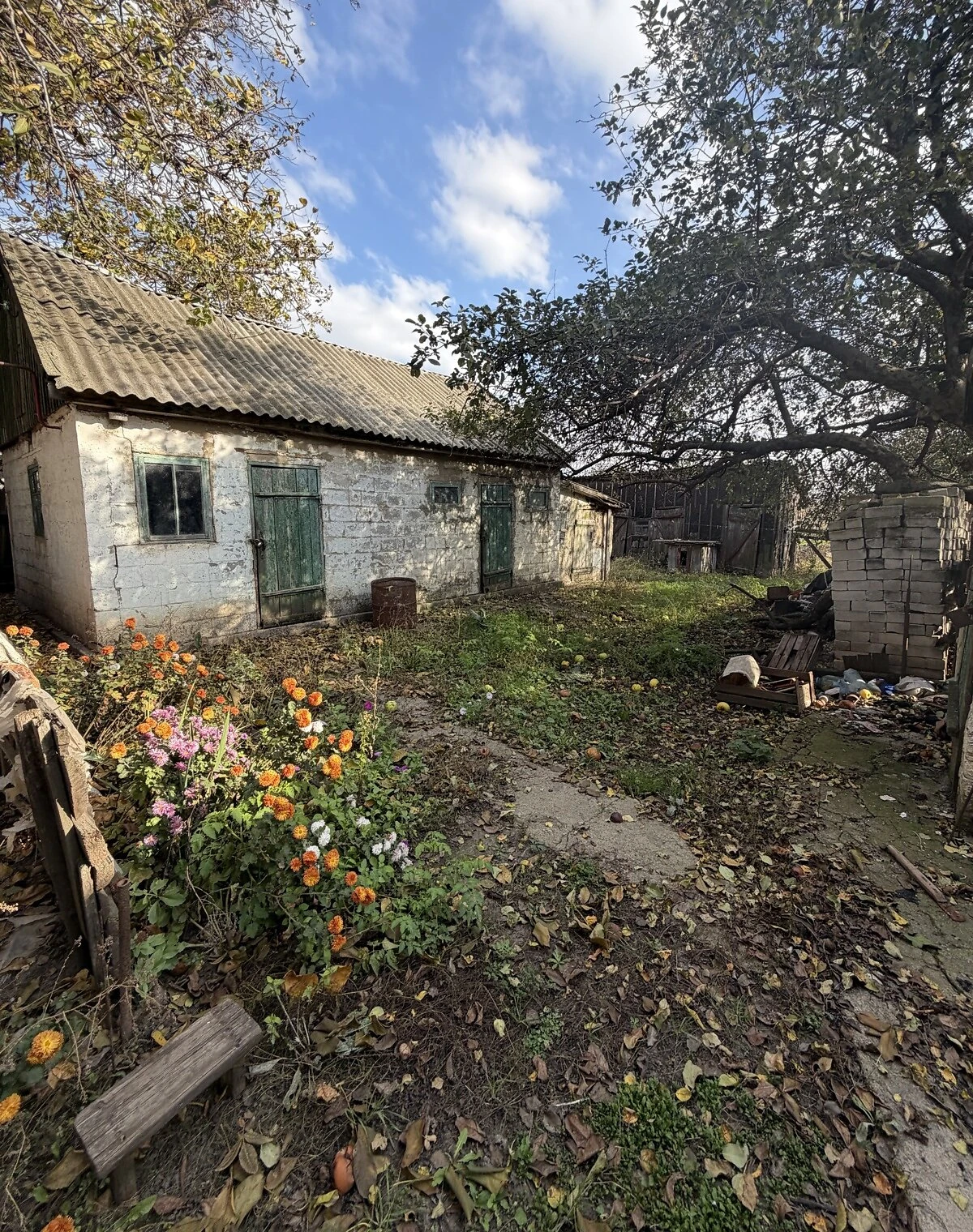 Дом, Казначеевка: колодец, сад и летняя кухня - фото 2