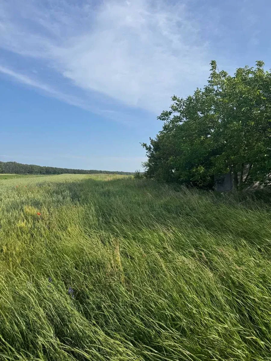 Участок 0.19 соток, Городецкое: гараж, электричество на улице