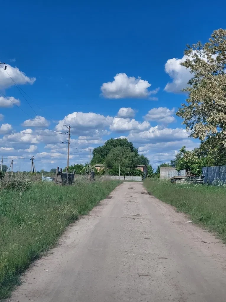 Ділянка 42 соток, Гоголів: асфальтований під'їзд, електрика й газ, фото 4