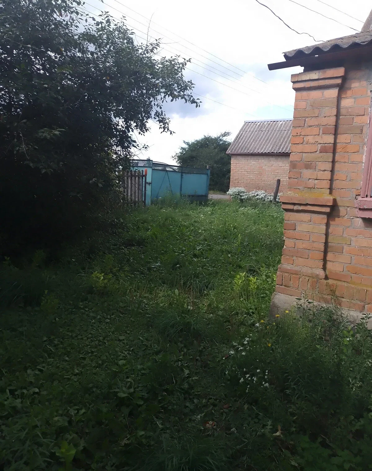 Будинок, Закутинці: 40 гектарів, індивідуальне опалення - фото 4