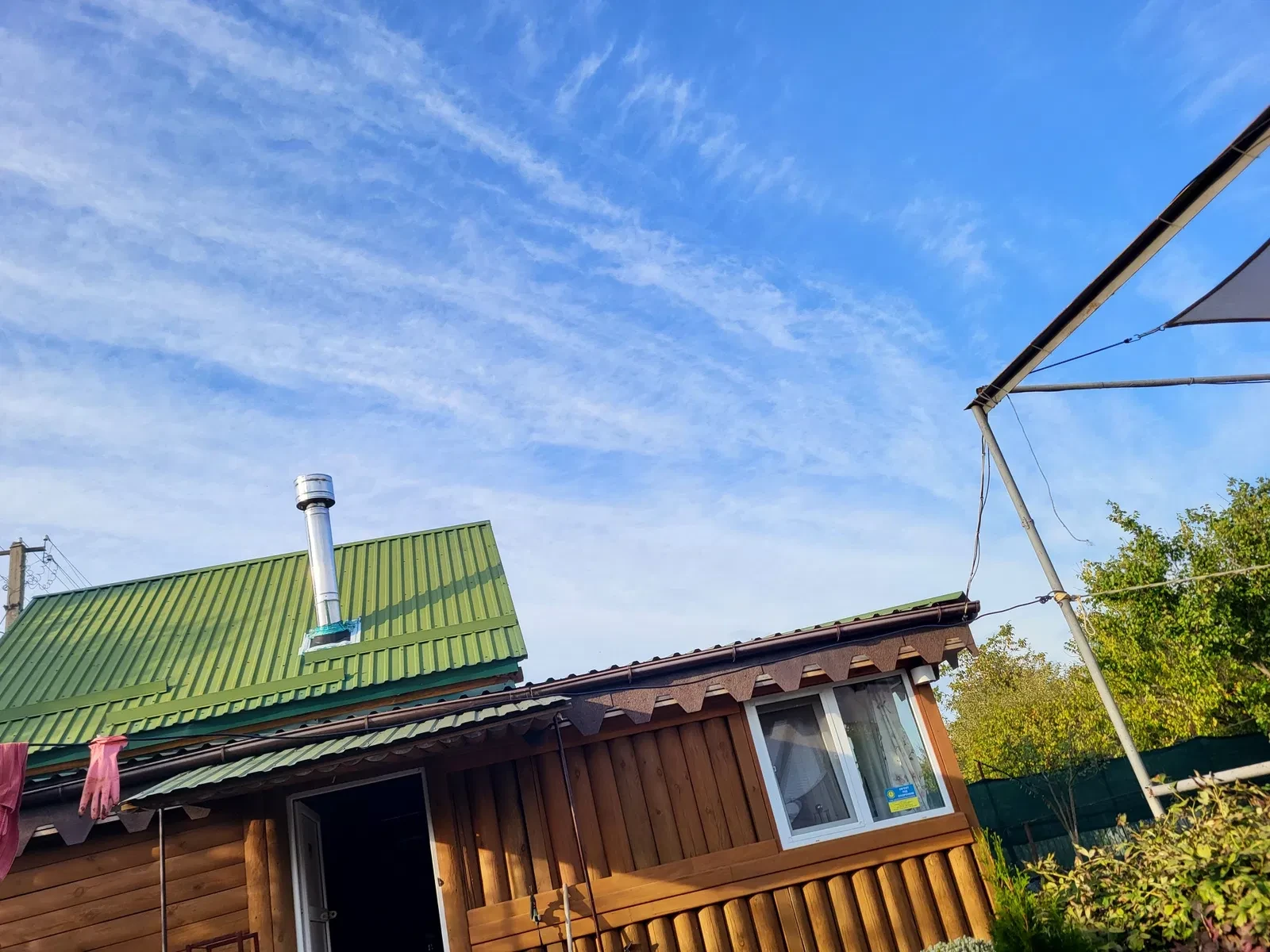 Дача, Полтава: гриби на ділянці, сонячні панелі - фото 3