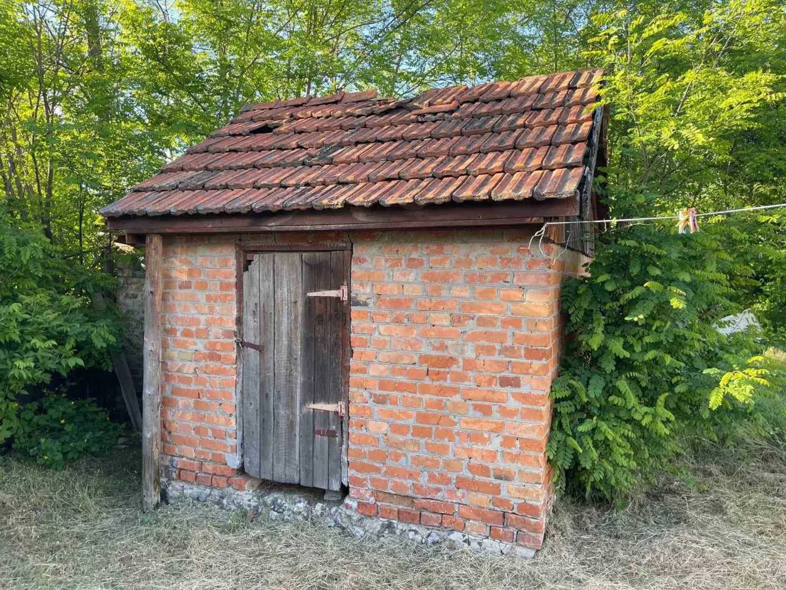 Дом, Головач: сосновый лес и река, єОселя, фото 5