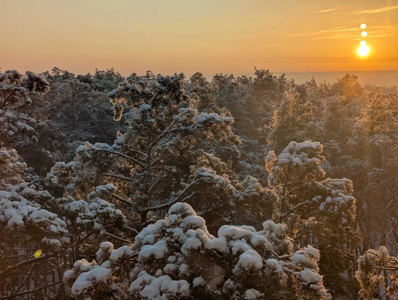 3-кімнатна квартира у ЖК Парковий: енергонезалежність, вид на парк - фото 3