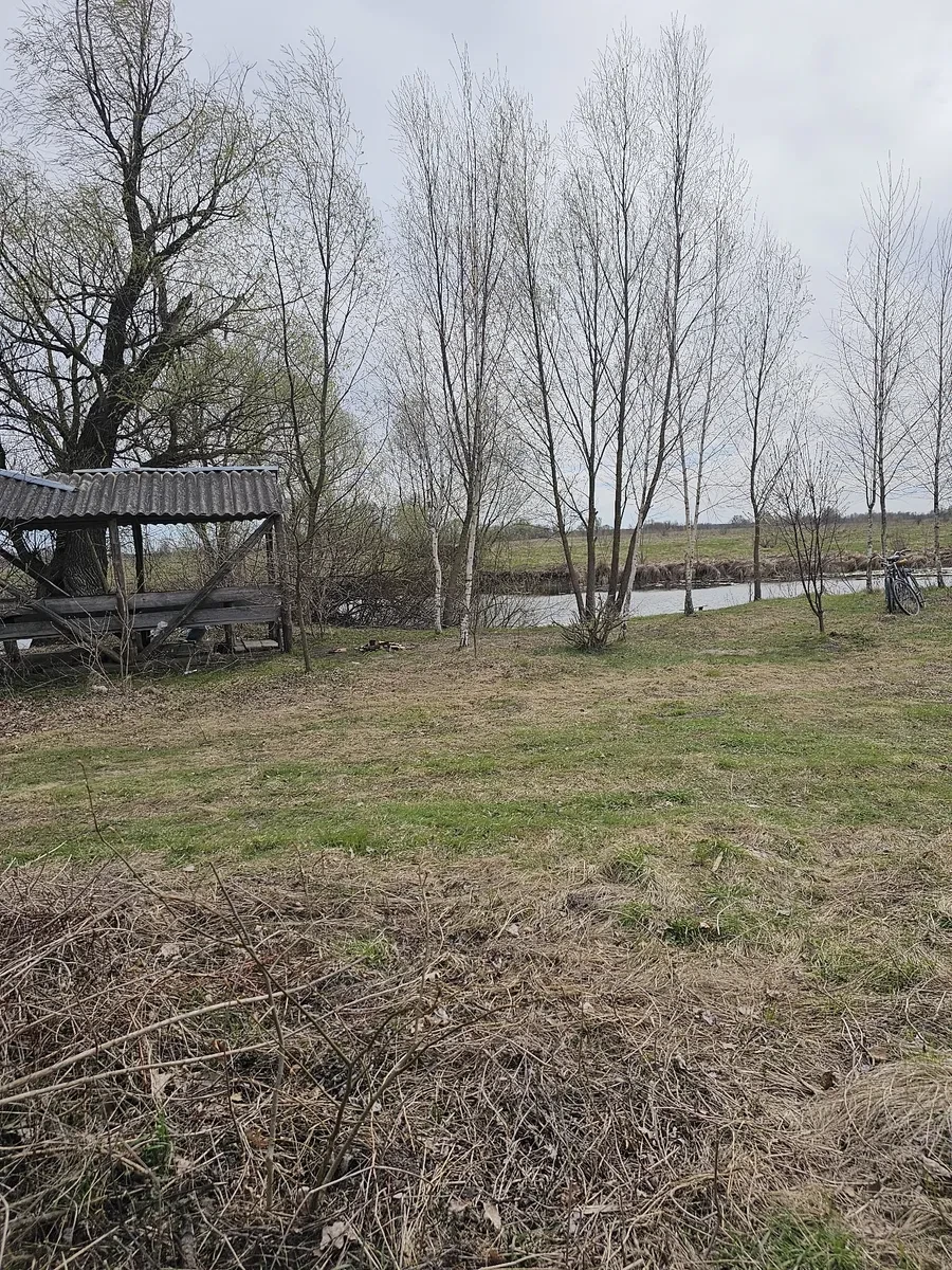 Будинок, Сосниця: луг і озеро за будинком, річка за 5 хвилин, фото 4
