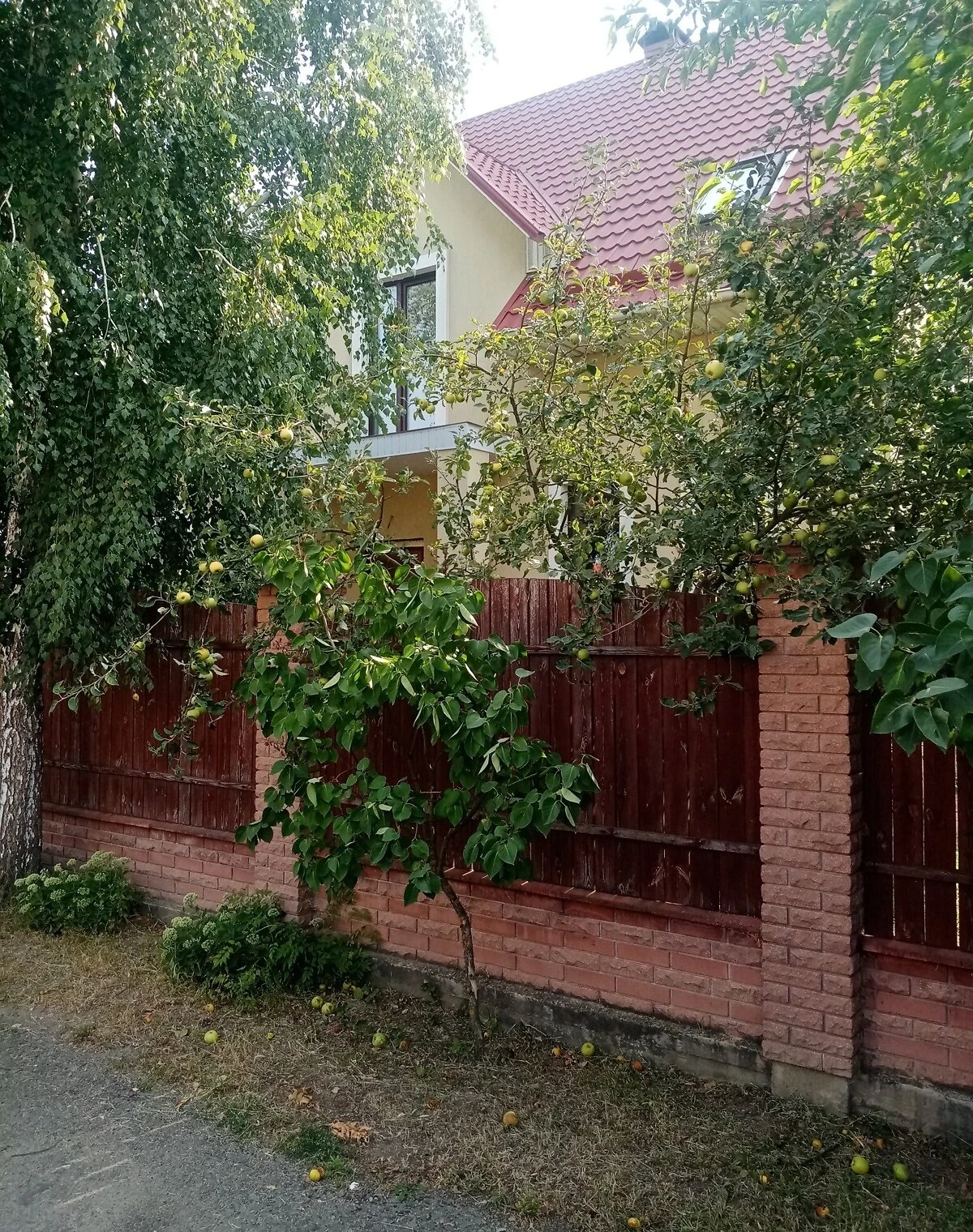 Дом, Нижние сады: веранда, бассейн, 5 спален, фото 5