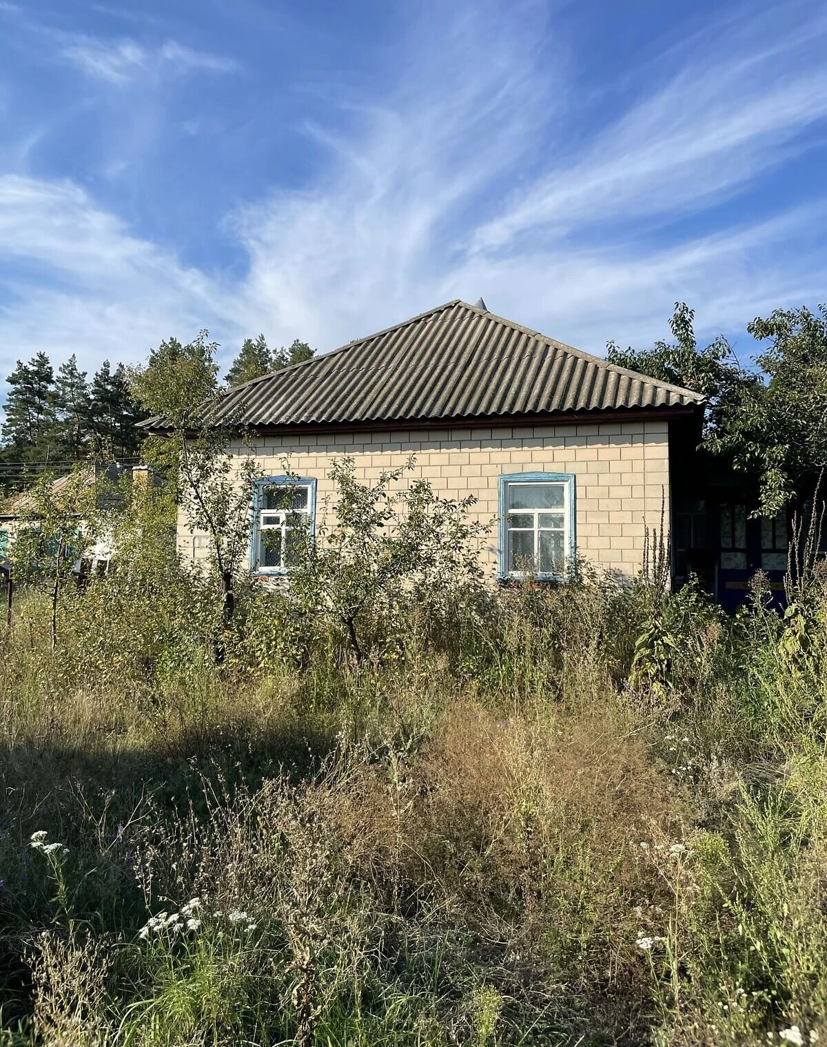 Будинок, Тубільці: ділянка 25 соток, цегляні стіни - фото 2